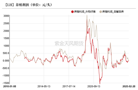 【玉米二季报】越过山丘