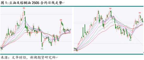 油脂3月月报：棕榈油产区供需仍紧 关注印尼B40执行情况