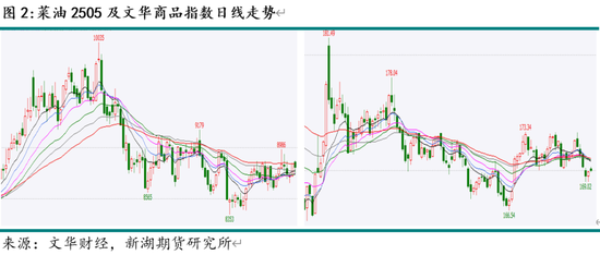 油脂3月月报：棕榈油产区供需仍紧 关注印尼B40执行情况