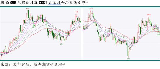 油脂3月月报：棕榈油产区供需仍紧 关注印尼B40执行情况