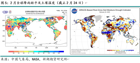 油脂3月月报：棕榈油产区供需仍紧 关注印尼B40执行情况