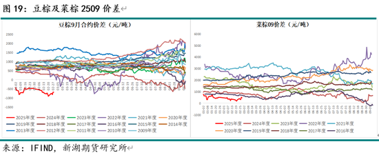 油脂3月月报：棕榈油产区供需仍紧 关注印尼B40执行情况