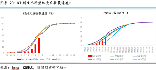 油脂3月月报：棕榈油产区供需仍紧 关注印尼B40执行情况