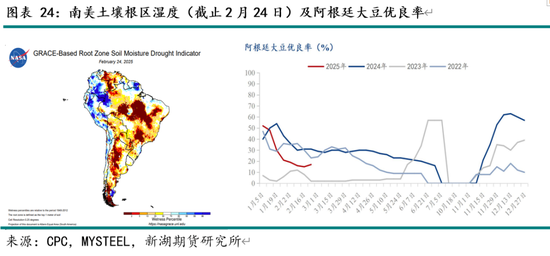 油脂3月月报：棕榈油产区供需仍紧 关注印尼B40执行情况