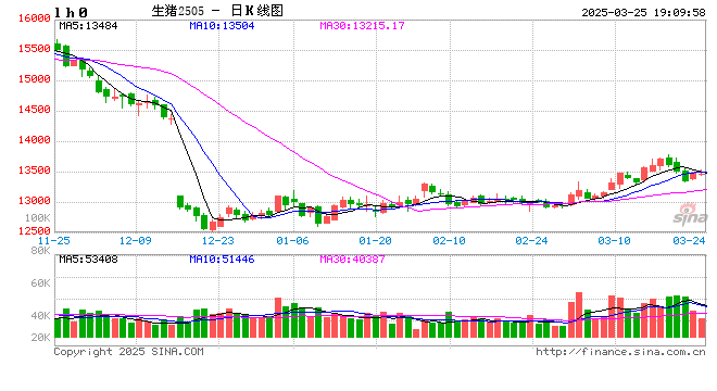 每日猪讯3.25