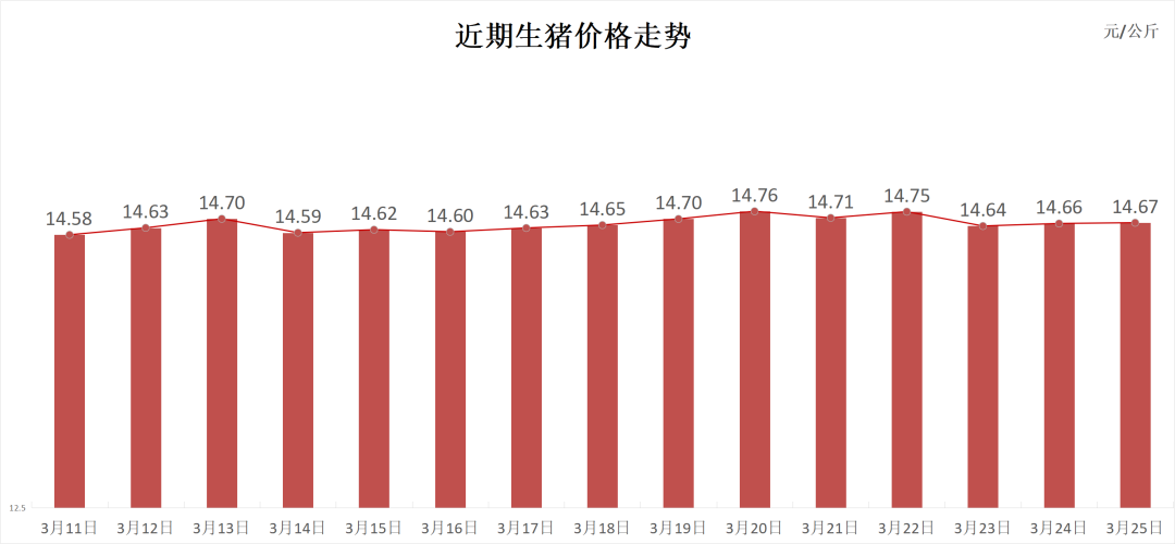 每日猪讯3.25