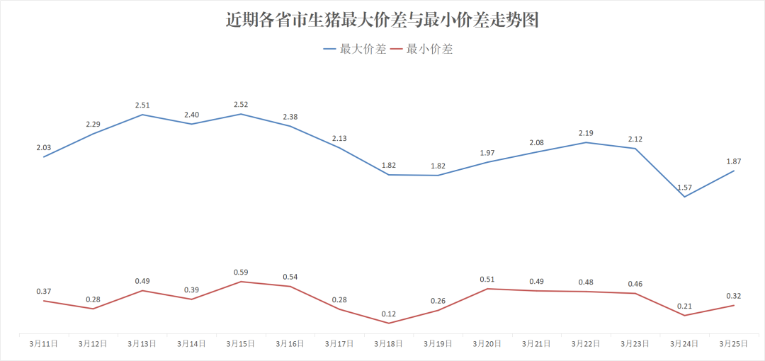 每日猪讯3.25