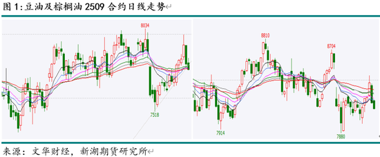 新湖农产（油脂）5月报：国际棕油增库及美生柴政策是关键
