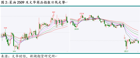 新湖农产（油脂）5月报：国际棕油增库及美生柴政策是关键
