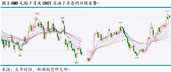 新湖农产（油脂）5月报：国际棕油增库及美生柴政策是关键