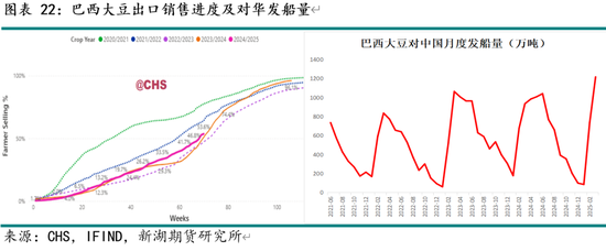 新湖农产（油脂）5月报：国际棕油增库及美生柴政策是关键