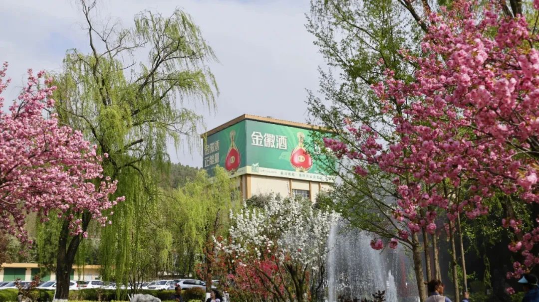 理性时代 金徽突围