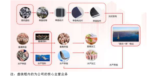 通威股份股价反弹背后，四川前首富之女刘舒琪上任董事长两年多，业绩股价双杀，1500亿债务高悬如何破局？