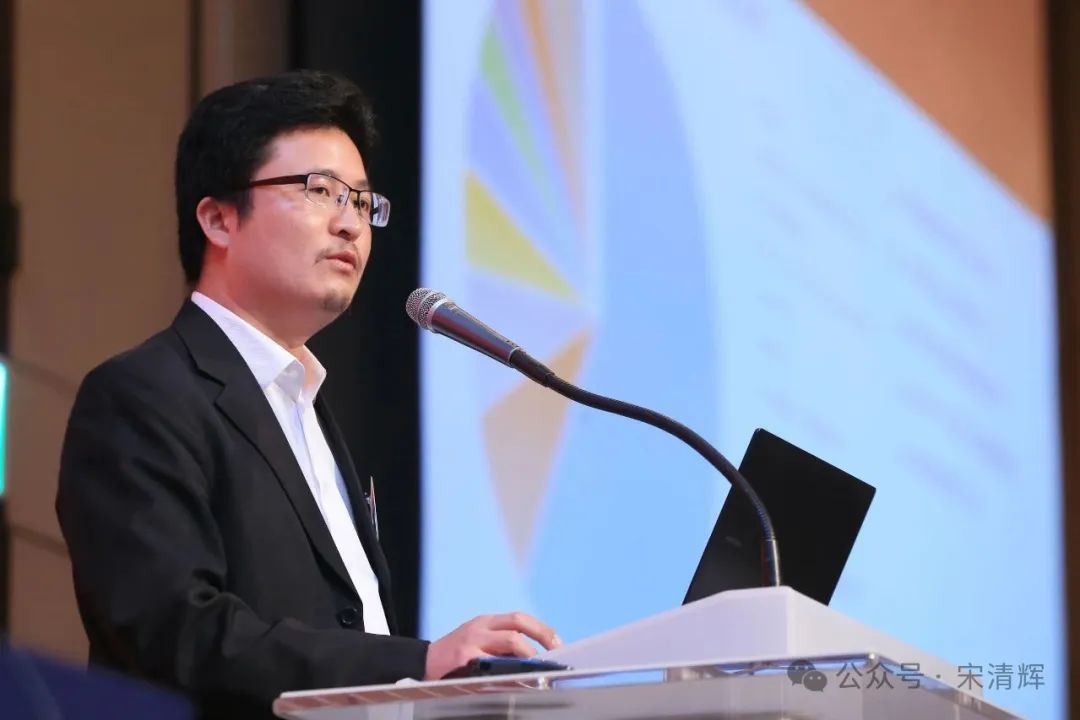 宋清辉：多方发力 A股财务造假将无所遁形