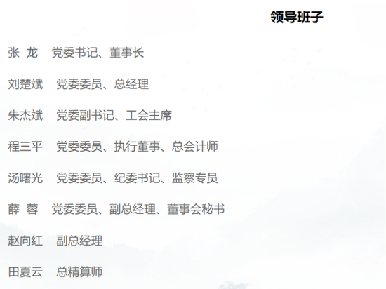 长江财险上半年续亏，新董事长张龙与湖北宏泰关联趋密