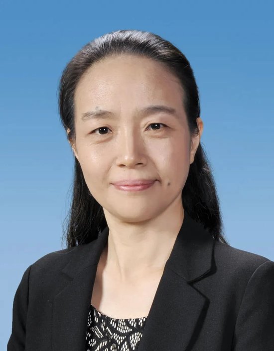 深交所领导有调整